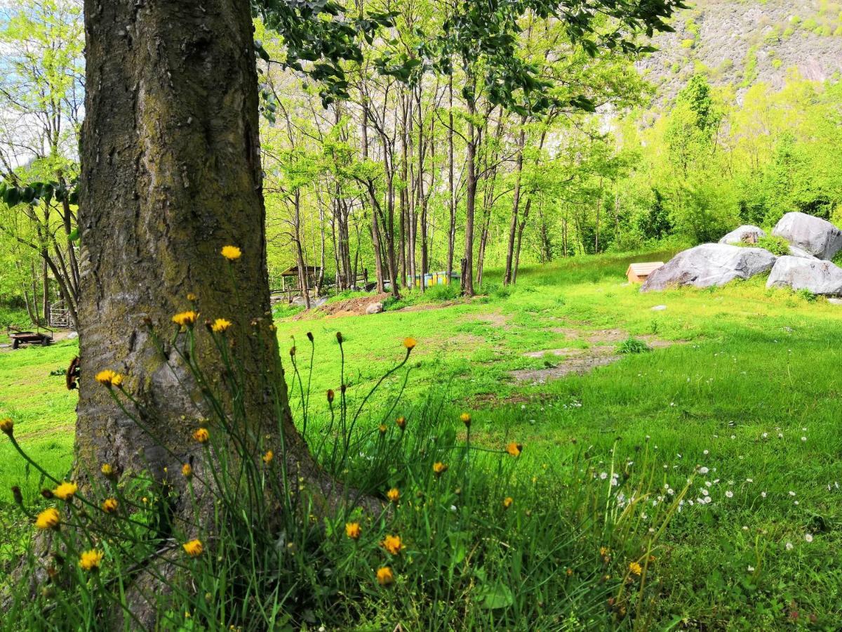 Agriturismo Val Codera Verceia المظهر الخارجي الصورة