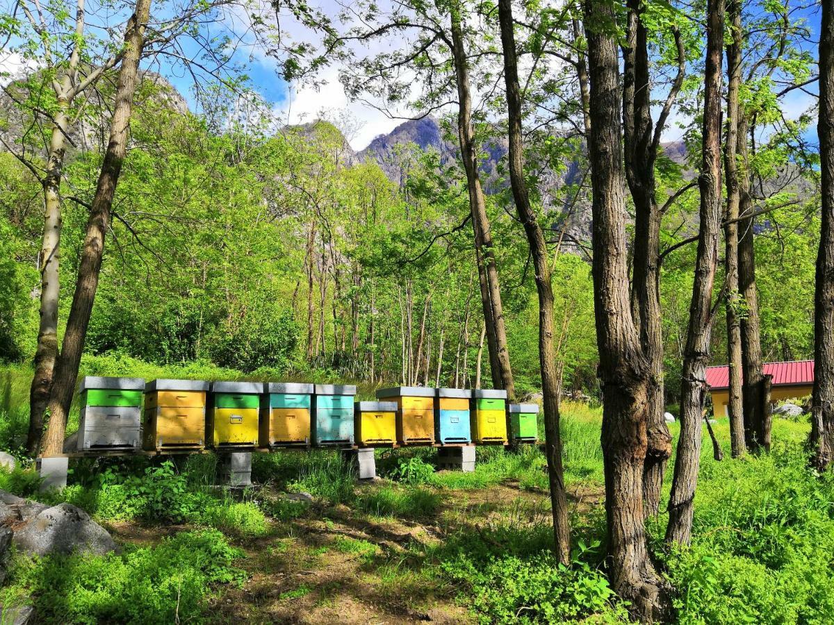 Agriturismo Val Codera Verceia المظهر الخارجي الصورة