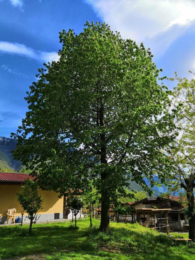 Agriturismo Val Codera Verceia المظهر الخارجي الصورة